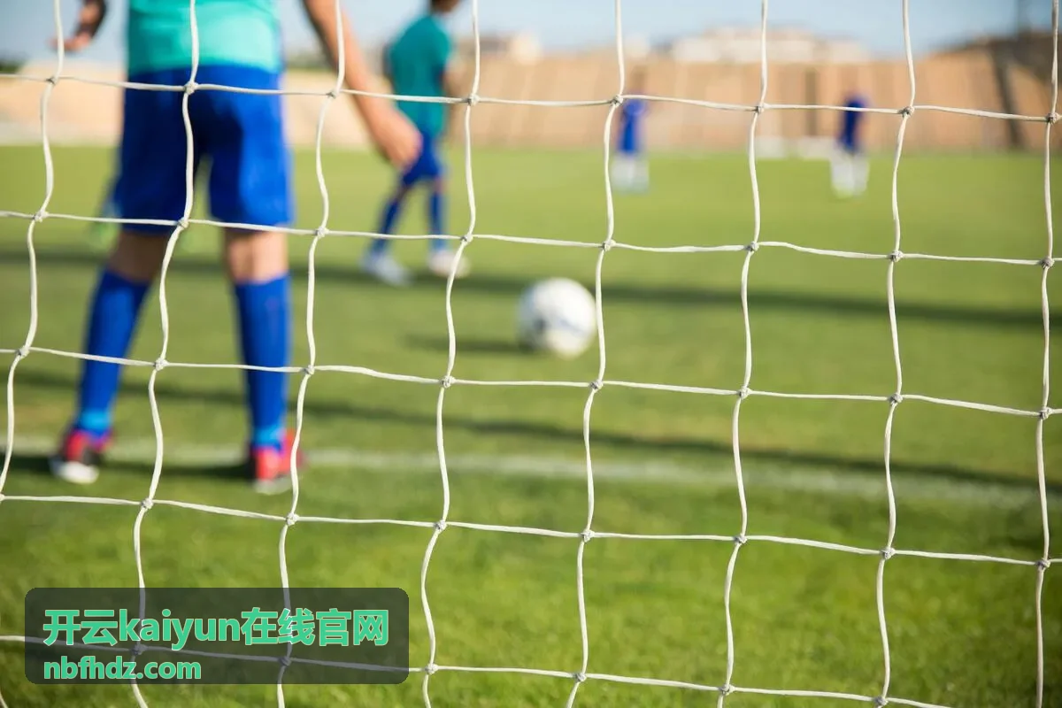 开云kaiyun在线官网新手指引板块配图